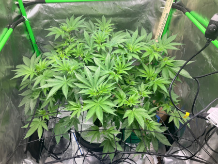 Starting_DWC_Oct23rd